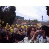 images/2006 - defilare/2006 - Defilare XII 065.JPG